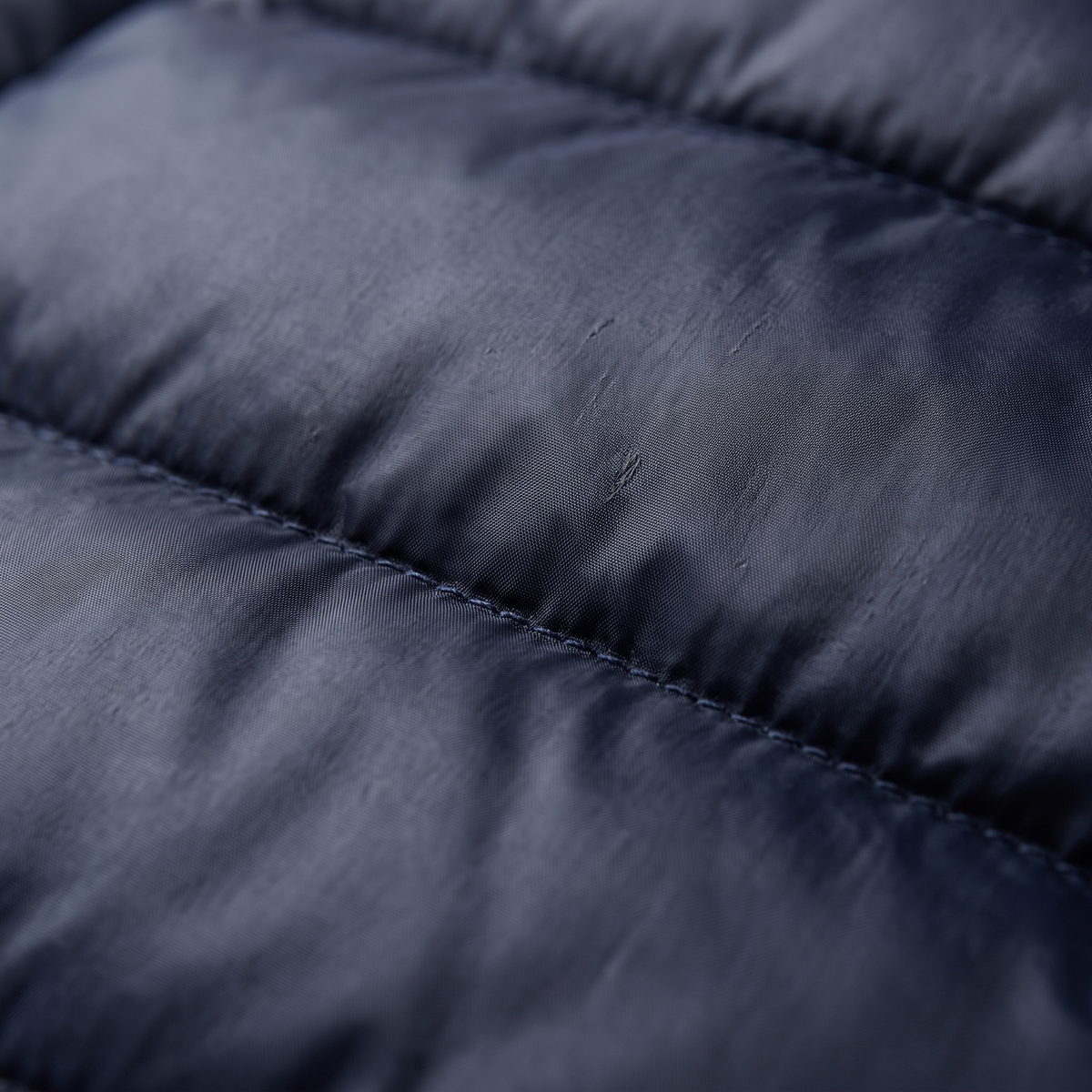 Darevo | Quilted Jacket
